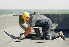 Best Rubber Roofing (EPDM, TPO)  in Hastings, MI